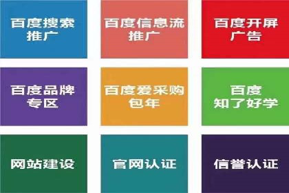 百度竞价代运营公司成功案例分析